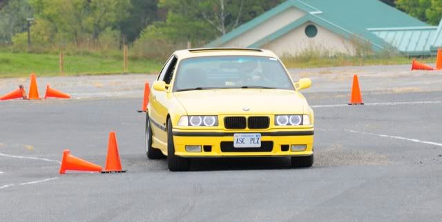 [Image: pca_verona_17.jpg]