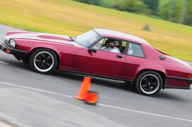 [Image: pca_verona_24.jpg]