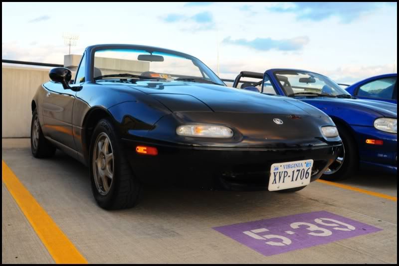 [Image: showker_01.jpg]