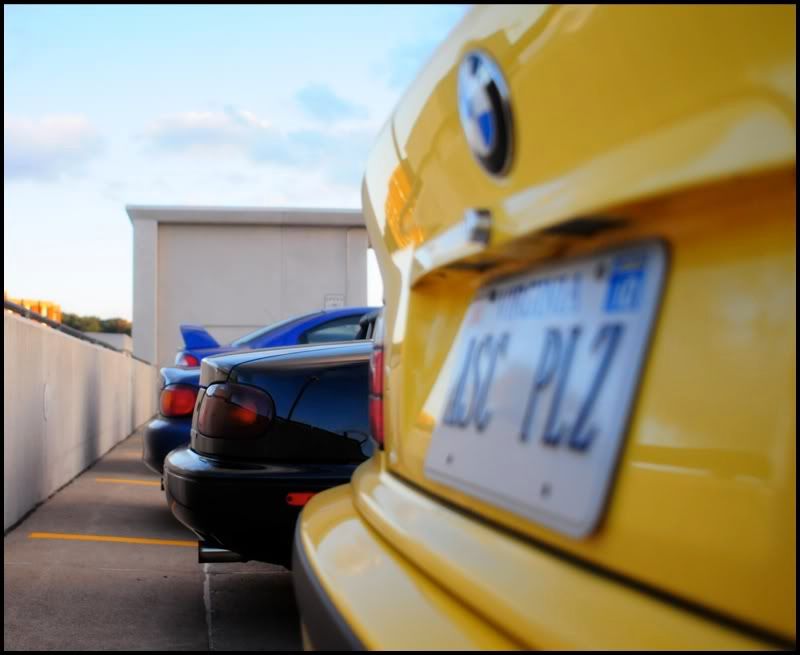 [Image: showker_03.jpg]