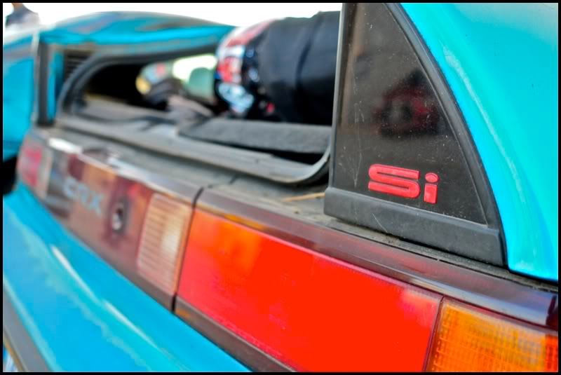 [Image: showker_08.jpg]