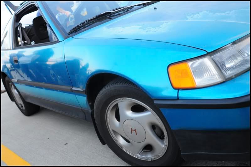 [Image: showker_11.jpg]