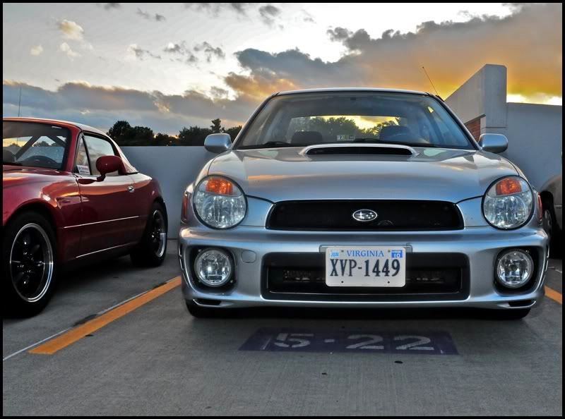 [Image: showker_16.jpg]