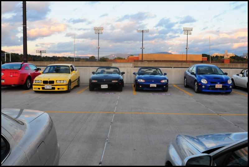 [Image: showker_17.jpg]