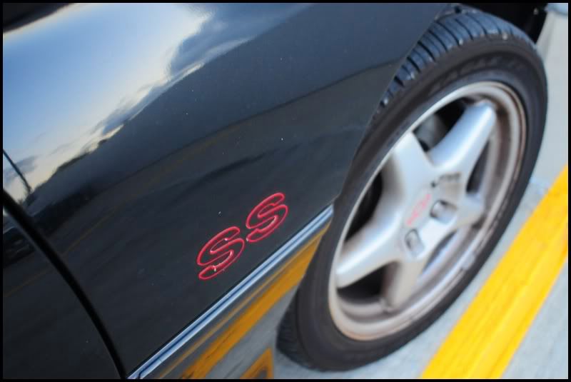 [Image: showker_22.jpg]