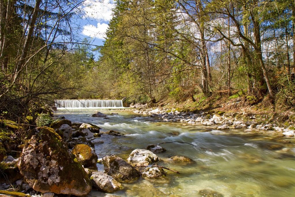 IMAGE: http://img.photobucket.com/albums/v687/thunnus/2012-04-22%20Salzburg/IMG_7233_copy.jpg