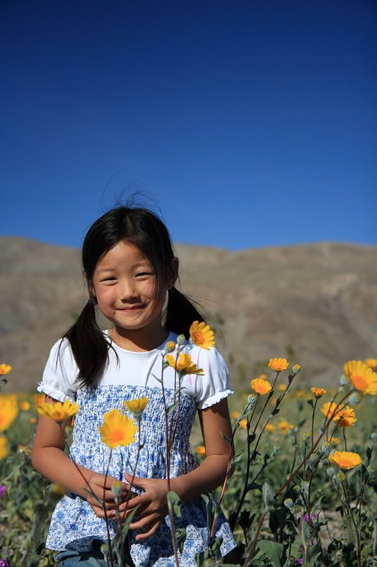 IMAGE: http://img.photobucket.com/albums/v687/thunnus/EOS400D/2008-03-08%20Borrego%20Springs/IMG_3400raw_copy.jpg
