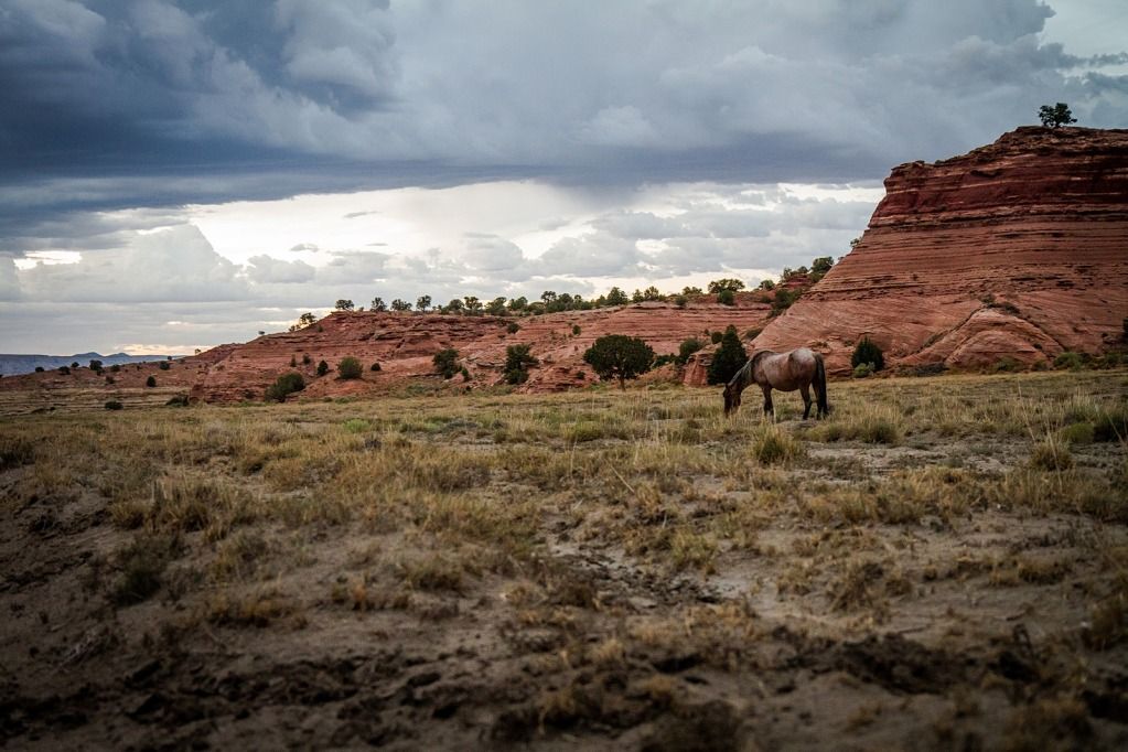 IMAGE: http://img.photobucket.com/albums/v687/thunnus/Tselani%202012/IMG_0196_copy.jpg