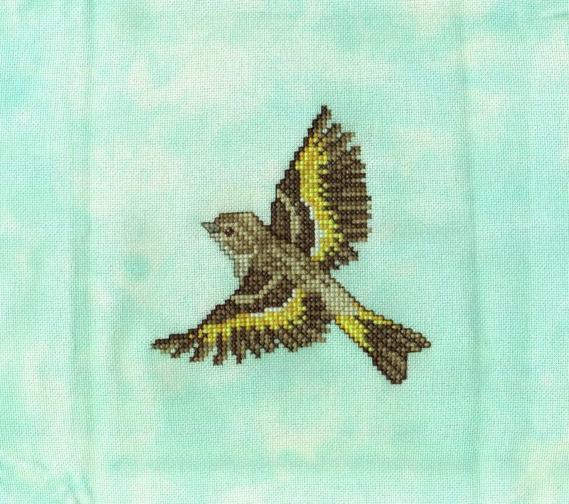 PineSiskin- Crossed Wing Collection