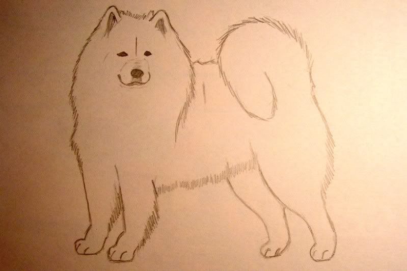 samoyedart2.jpg