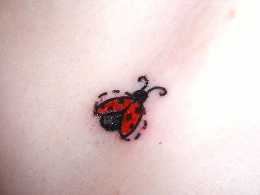 Ladybug Tattoo, Designs, Pictures, and Ideas This is my ladybug tattoo, 