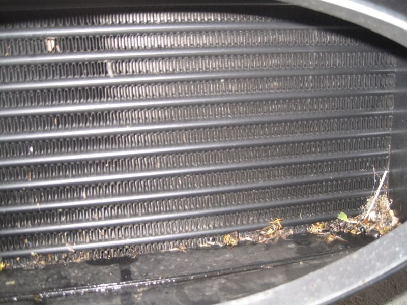 Cleaning intercooler The Lotus Cars Community