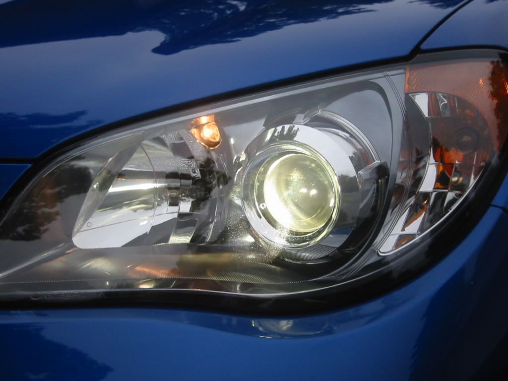 [Image: STI006.jpg]