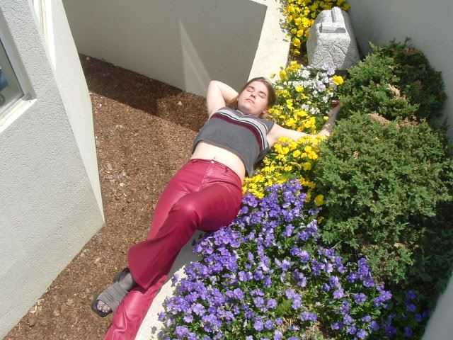 Image hosted by Photobucket.com