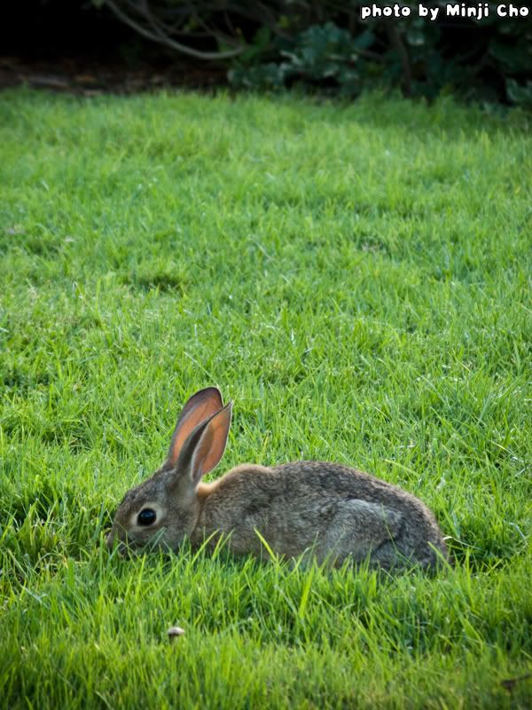 IMAGE: http://img.photobucket.com/albums/v69/jinji/cIMG_0099.jpg