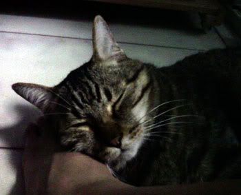 Richie acts manja by pretending to sleep with his head resting on my foot