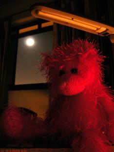 meet the moon. and my hot pink-coloured bear, sue shockers.