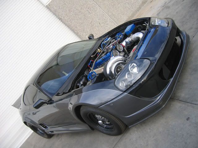 beast-018.jpg