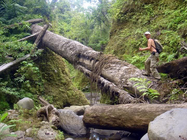 Tambora2