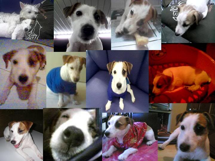 Hosted by Photobucket.com