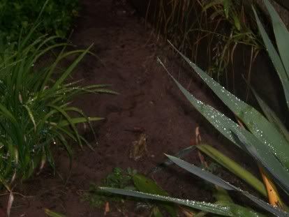 [img width=414 height=311]http://img.photobucket.com/albums/v692/steegie1984/GOOR/c0194660.jpg[/img]