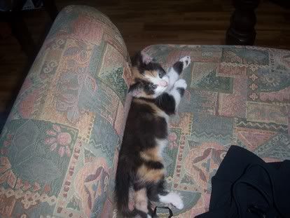 [img width=414 height=311]http://img.photobucket.com/albums/v692/steegie1984/weekendje%20Carola/100_0186.jpg[/img]