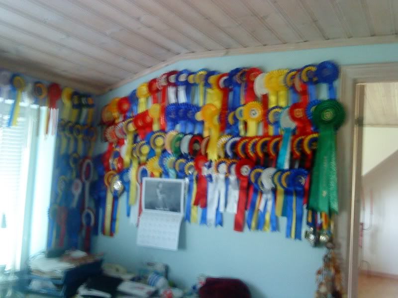 015.jpg