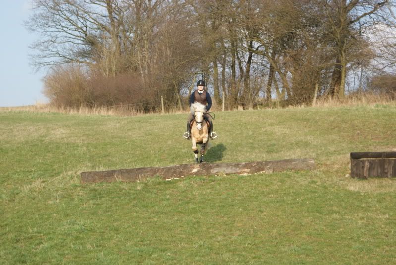 DSC03212.jpg
