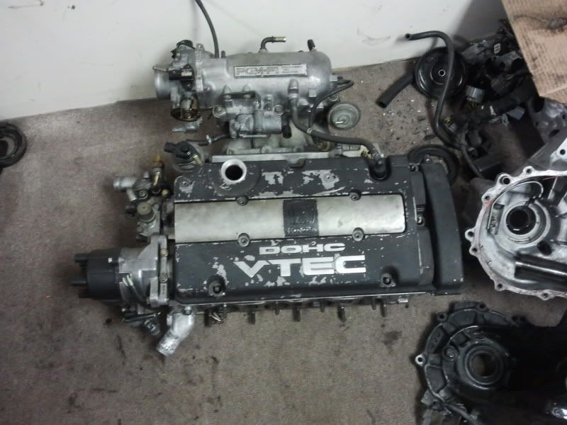 F/S G23 Vtec Build, Meaning h22 head, f23 long block Tampa Racing