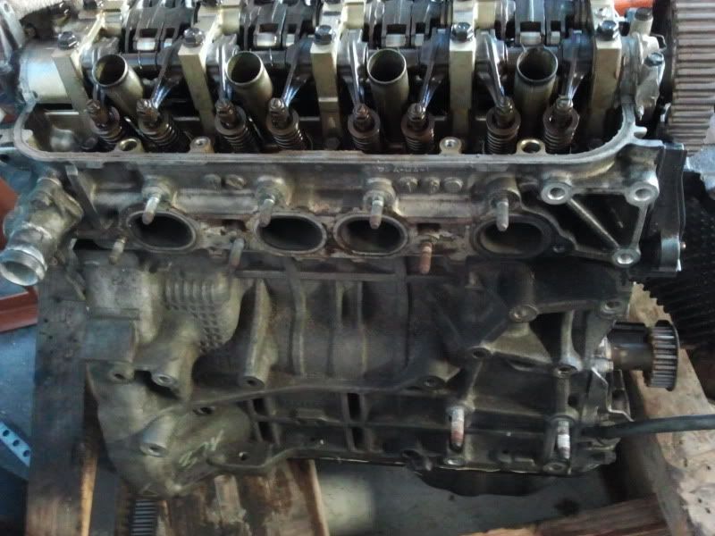 F/S G23 Vtec Build, Meaning h22 head, f23 long block Tampa Racing