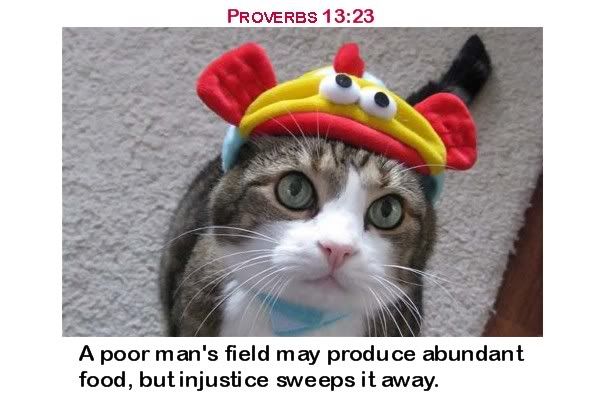 Proverbs1323.jpg