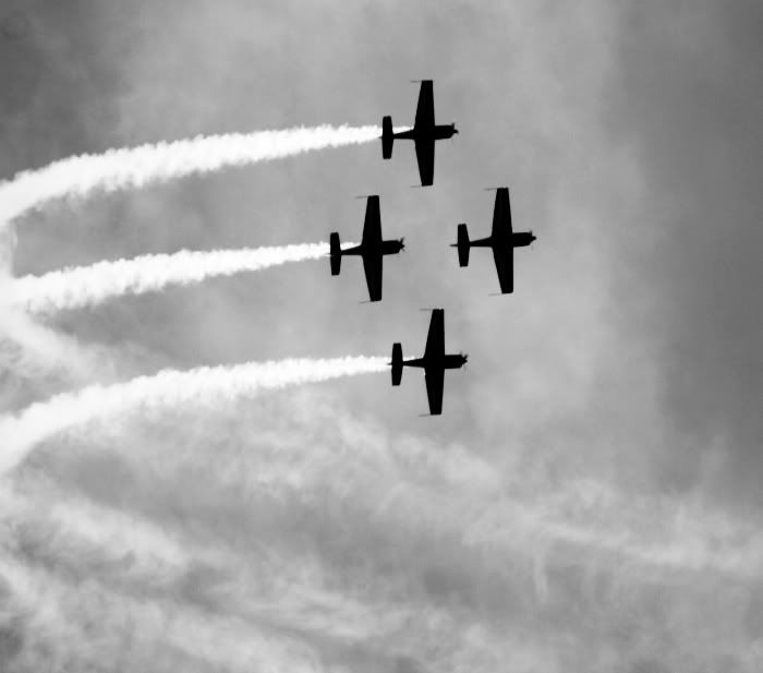 http://img.photobucket.com/albums/v693/skylinerworld/RIAT2009/IMG_2258BW.jpg
