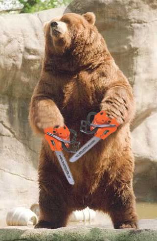 BearChainsaw.jpg