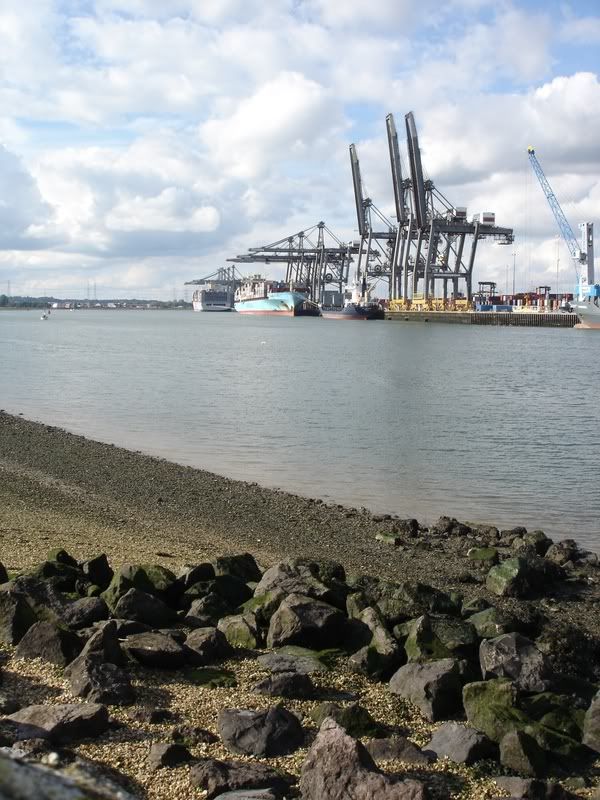 docks016.jpg