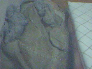 Image hosted by Photobucket.com