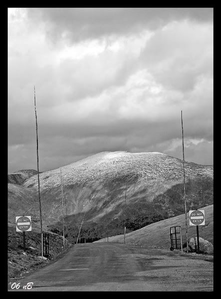 IMAGE: http://img.photobucket.com/albums/v696/nburwell/enter_web.jpg