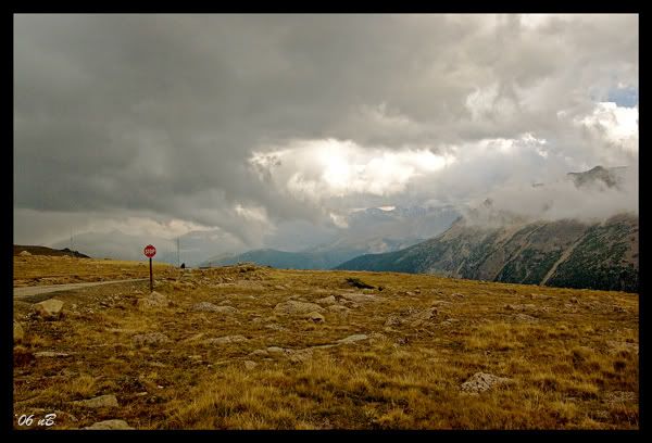 IMAGE: http://img.photobucket.com/albums/v696/nburwell/lonely_web.jpg