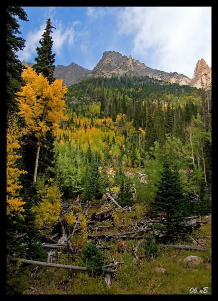 IMAGE: http://img.photobucket.com/albums/v696/nburwell/mountain_web3.jpg