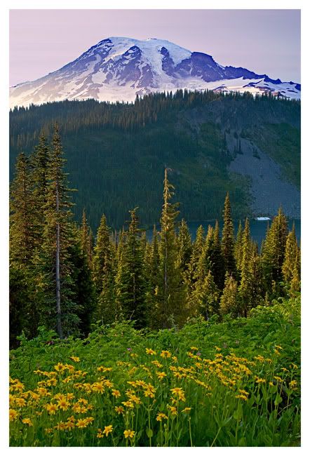 IMAGE: http://img.photobucket.com/albums/v696/nburwell/mt_rainier_sunset.jpg