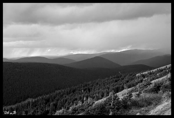 IMAGE: http://img.photobucket.com/albums/v696/nburwell/silloettes_bw.jpg