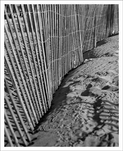 IMAGE: http://img.photobucket.com/albums/v696/nburwell/venice_3.jpg