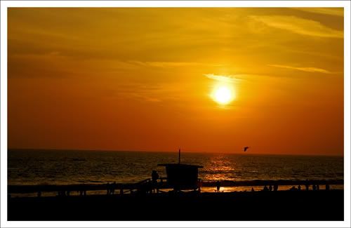 IMAGE: http://img.photobucket.com/albums/v696/nburwell/venice_8.jpg