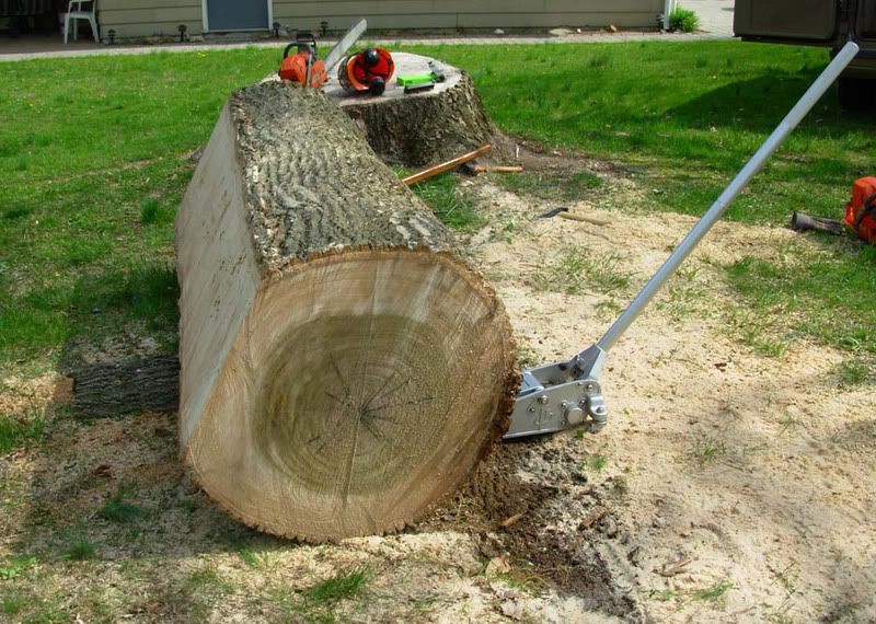 milling 35" poplar log