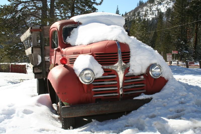 IMAGE: http://img.photobucket.com/albums/v697/Jezzica99/IMG_0144.jpg