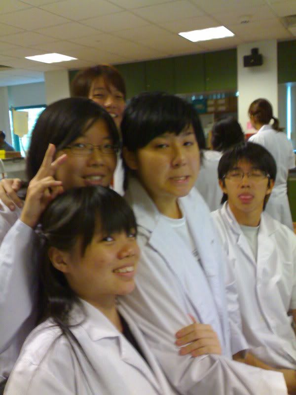 in pharmaco lab
