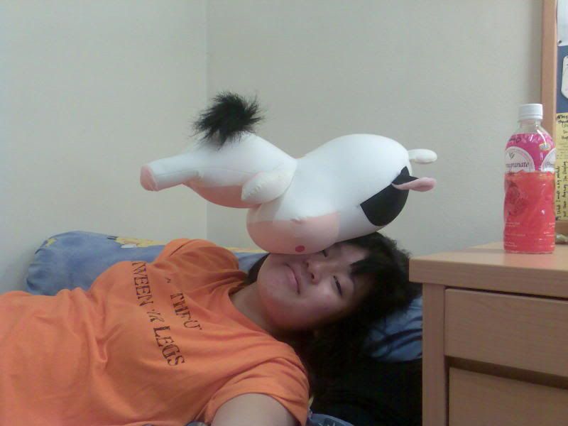 cow on my face