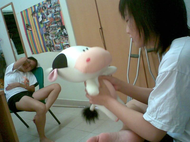 oamela singing to cow