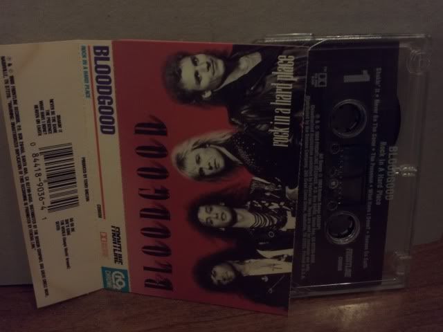 BLOODGOOD - ROCK IN A HARD PLACE
