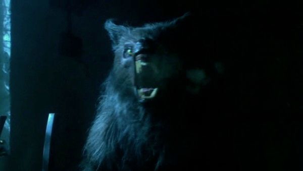 Being Human Werewolves