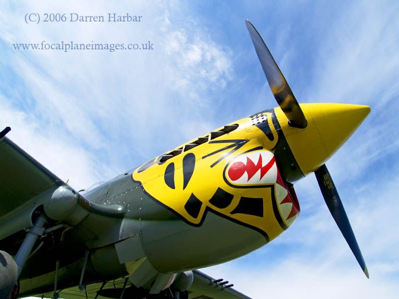 http://img.photobucket.com/albums/v698/darrenharbar/Grace%20spitfire%20day/P-403.jpg